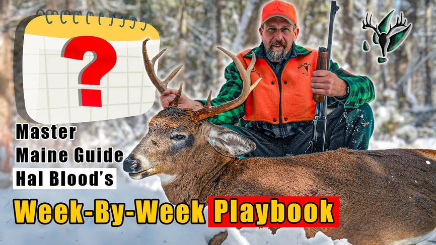 VIDEO: Master Maine Guide Hal Blood | Big Woods Hunting Strategies by Week
