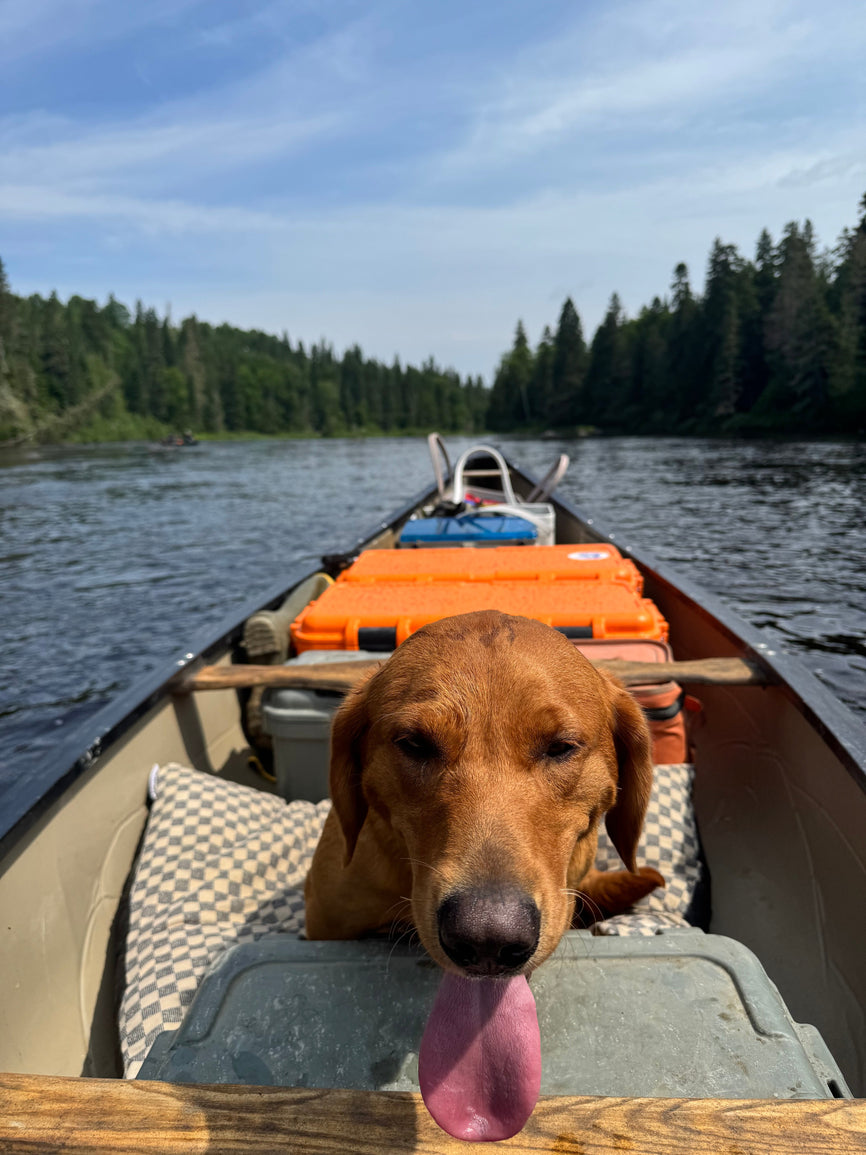 Knowledge on Canoe Camping from a Maine Guide in the North Woods