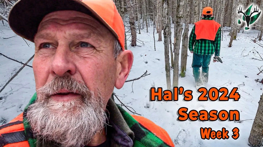 VIDEO: Hal Blood's 2024 Deer Season - Week 3