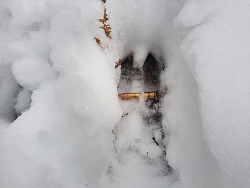 How to Age Buck Tracks - Big Woods Bucks