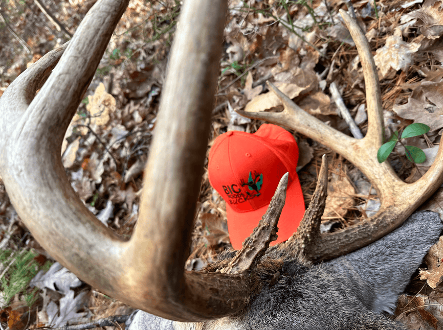 The Legend of the Invincible Buck - Part 1 - Big Woods Bucks