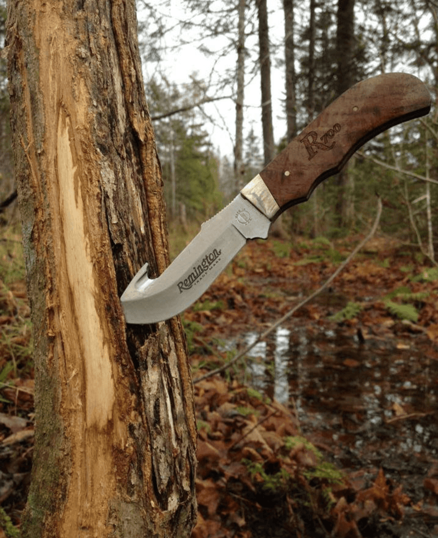 The Purpose of a Buck Rub - Big Woods Bucks