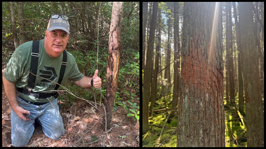 Overcoming Navigation Worries