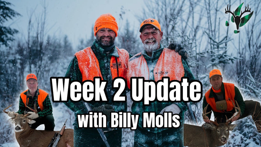 Deer Season Week 2 Update with Billy Molls | Big Woods Bucks Podcast Ep 182