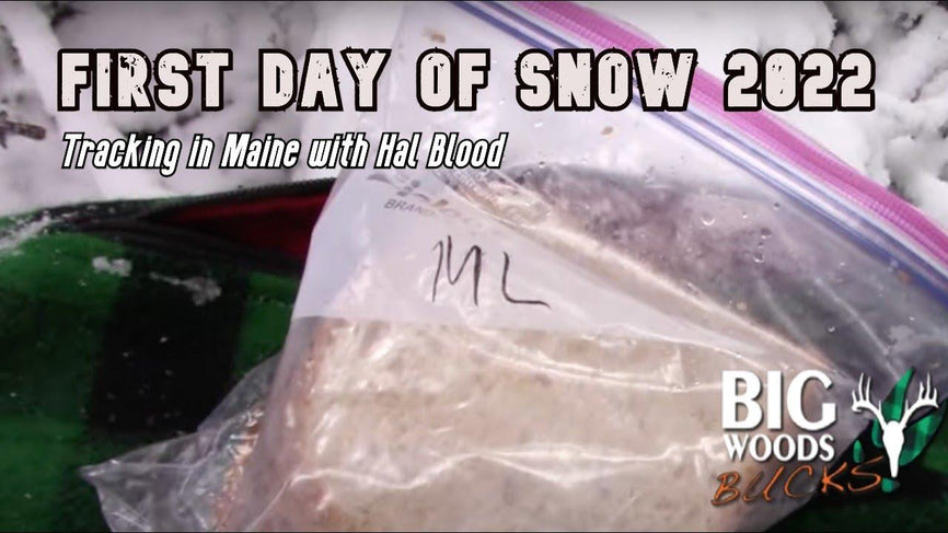 VIDEO: First Day of Snow 2022 | Tracking with Hal Blood - Big Woods Bucks