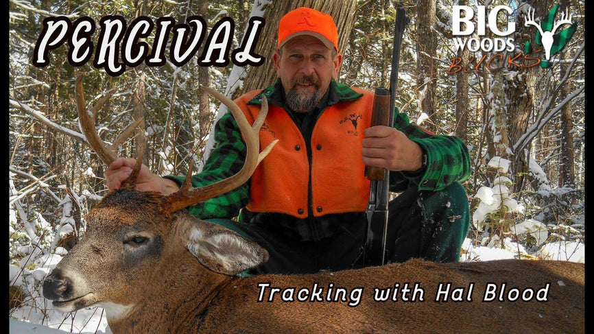 VIDEO: Percival - Tracking with Hal Blood - Big Woods Bucks