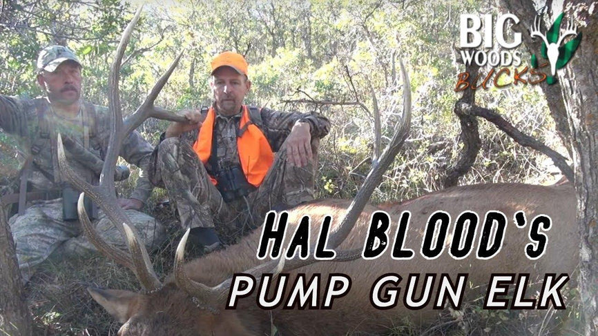 VIDEO: Hal's PUMP GUN Colorado Elk - Big Woods Bucks