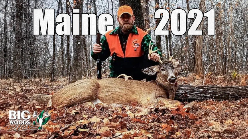 VIDEO: “IT WASN’T PRETTY!” Persistence pays off | Brad Willey’s Maine 2021 Big Woods Buck - Big Woods Bucks