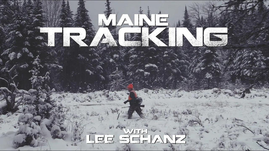 VIDEO: Tracking in Maine with Maine Guide Lee Schanz, Jr. - Big Woods Bucks