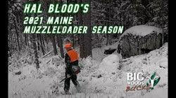 VIDEO: Hal Blood's 2021 Maine Muzzleloader Season - Big Woods Bucks