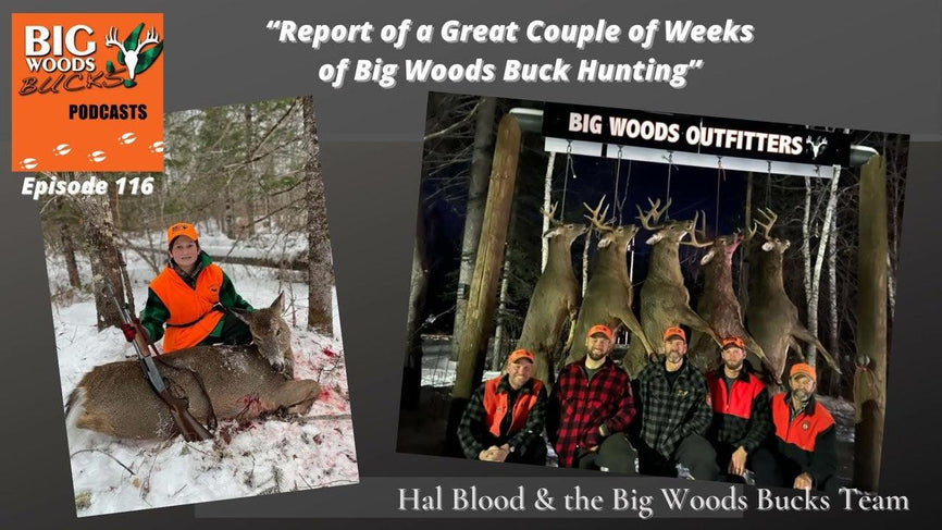 116 | “Report of a Great Couple of Weeks of Big Woods Buck Hunting”