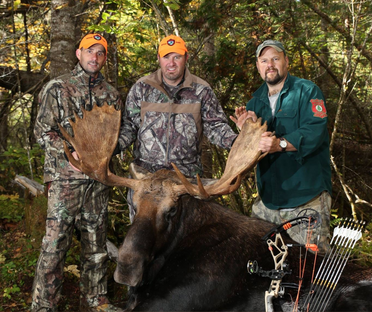 DESIGNED BY PROFESSIONALS