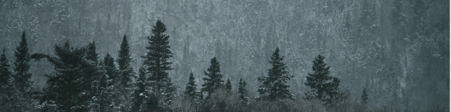 Featured banner image