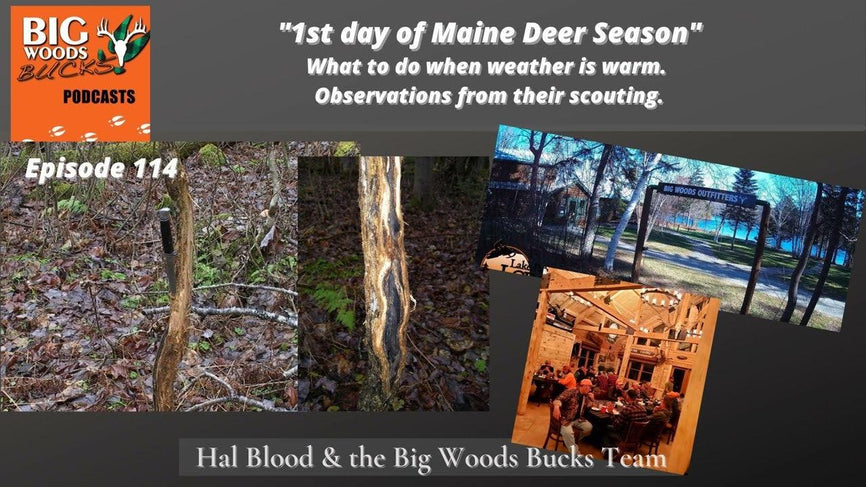 114 | “1st day of Maine Deer Season – What to do when weather is warm - observations from their scouting ” - Big Woods Bucks