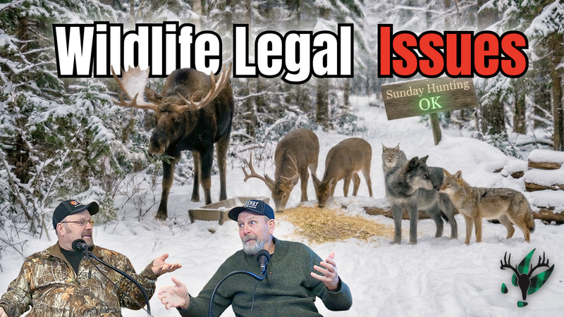 Wildlife Laws and Regs | Big Woods Bucks Podcast Ep 191