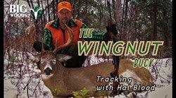VIDEO: The Wingnut Buck | Tracking with Hal Blood - Big Woods Bucks