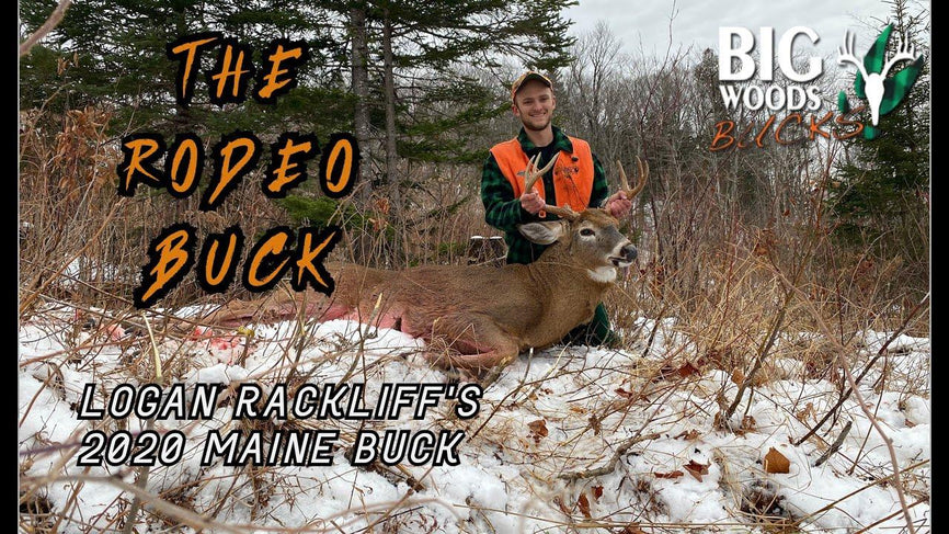 VIDEO: THE RODEO BUCK | Logan Rackliff's 2020 Maine buck - Big Woods Bucks