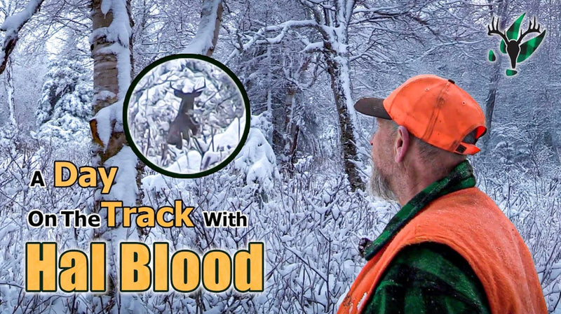 VIDEO: Hal Blood lets a good buck walk - A Day on the Track