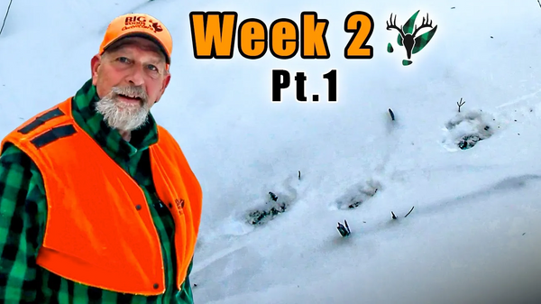 VIDEO: Hunting with Hal Blood: Finding the right track