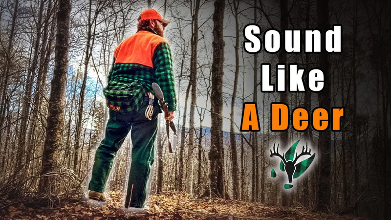 VIDEO: Bare Ground Still Hunting Tactics with Brad Willey