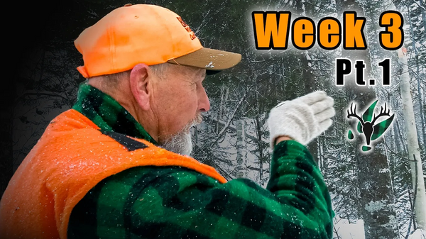 VIDEO: "He's a nice one!" Hal lays eyes on the BIG buck