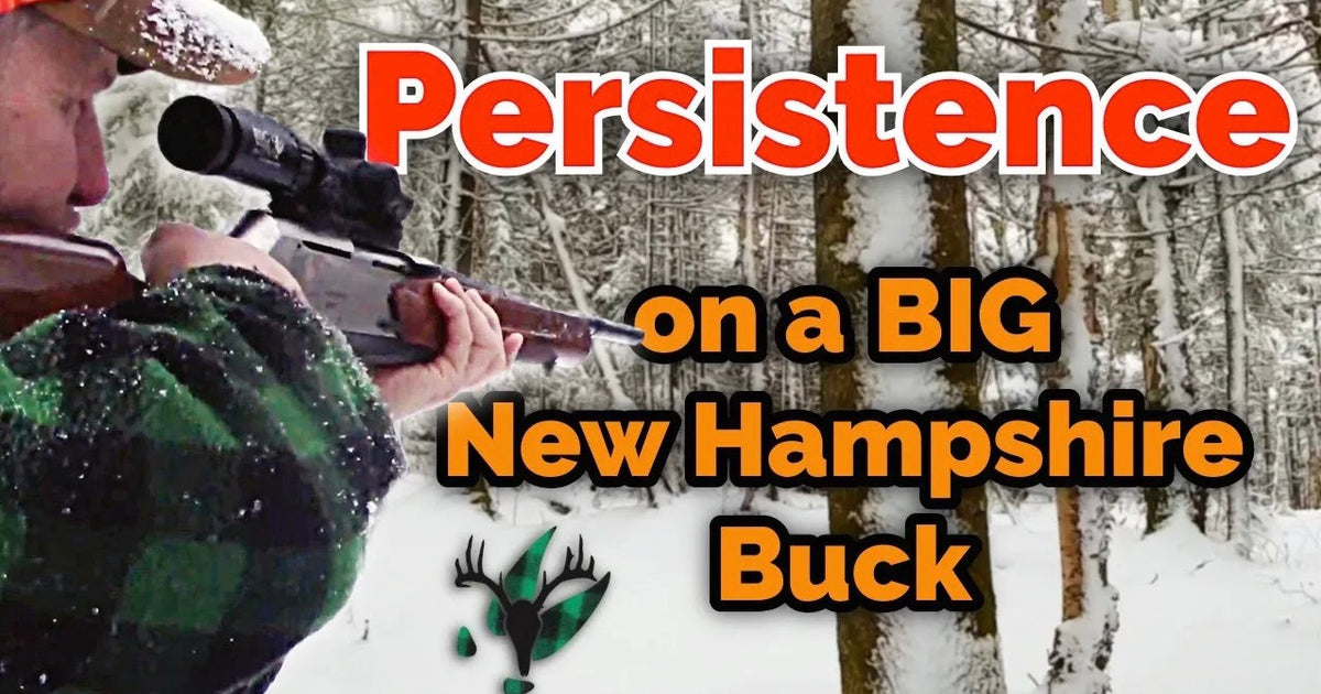 VIDEO: Four Days Tracking a BIG New Hampshire Buck with Mark Scheeren ...