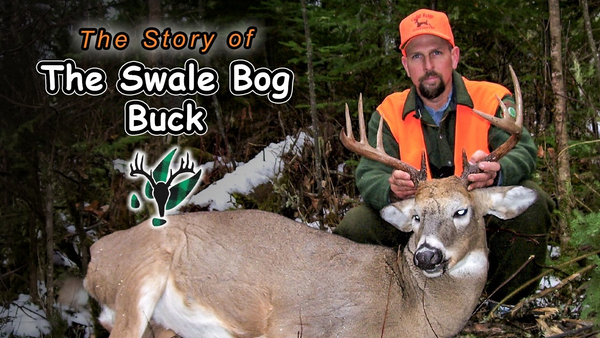Hal Blood's Swale Bog Buck | Stories From the Trail
