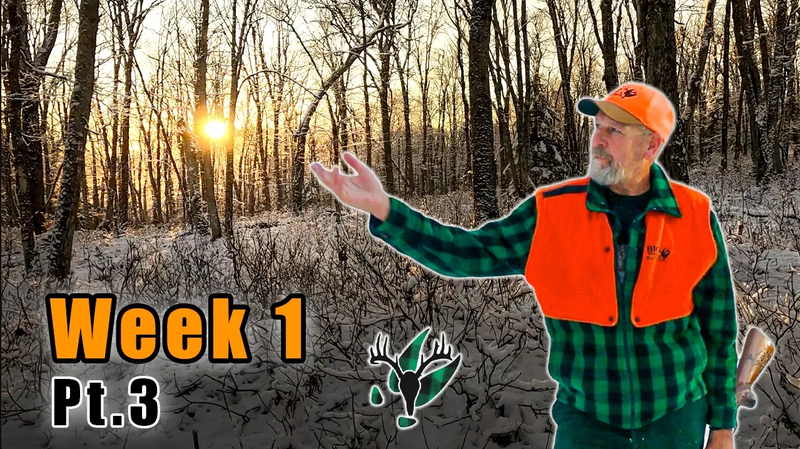 VIDEO: Tracking a 200lb Buck | Checking Beds and Aging Sign with Hal Blood