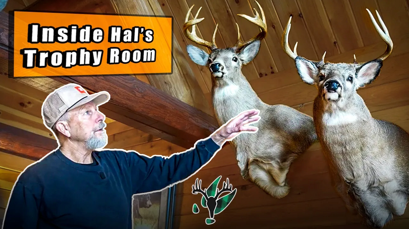 VIDEO: Hal Blood's Trophy Room Tour