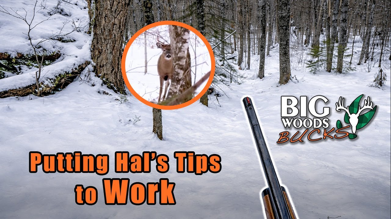 VIDEO: The art of aging deer tracks in the snow: Stay on Your Buck!