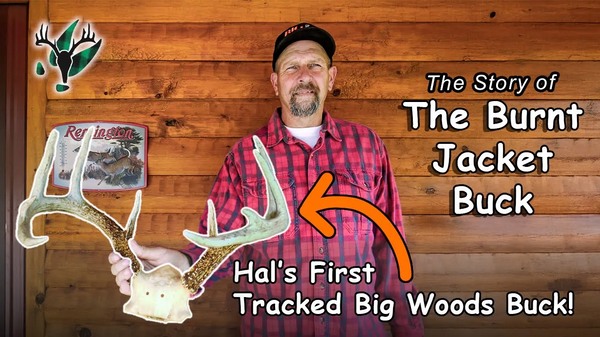 VIDEO: Hal’s First Ever Buck Tracking: The Burnt Jacket Buck | Stories From the Trail