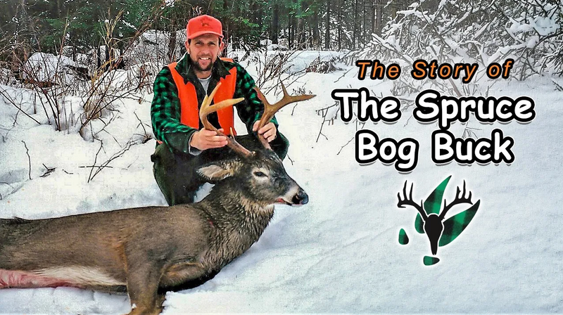 VIDEO: Hal Blood's Spruce Bog Buck | Stories from the Trail
