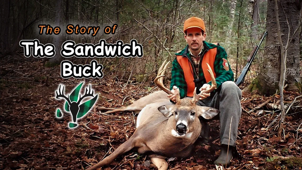 VIDEO: Hal Blood's Sandwich Buck | Stories From The Trail