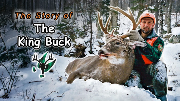 VIDEO: The King Buck | Hal Blood's Stories From The Trail