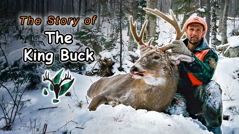 VIDEO: The King Buck | Hal Blood's Stories From The Trail