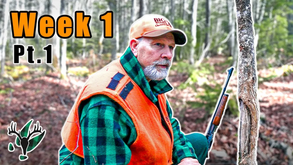VIDEO: Hal Blood Hunts the Golden Triangle | Checking Signpost Rubs | Early Season Tactics