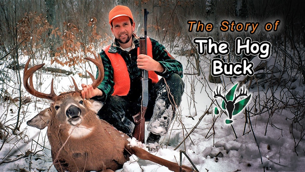 VIDEO: The Hog Buck - Hal Blood's Biggest Maine Buck | Stories From The Trail