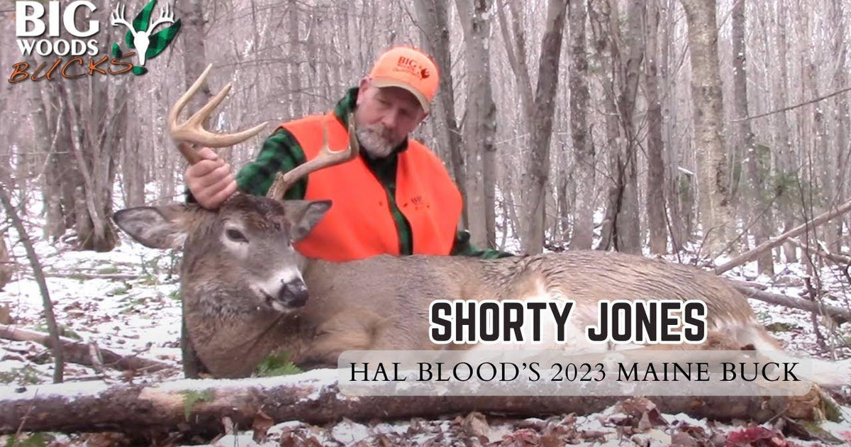 Hal Blood's 2023 Maine Buck: SHORTY JONES – Big Woods Bucks
