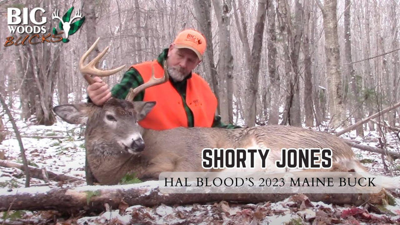 Hal Blood's 2023 Maine Buck: SHORTY JONES - Big Woods Bucks