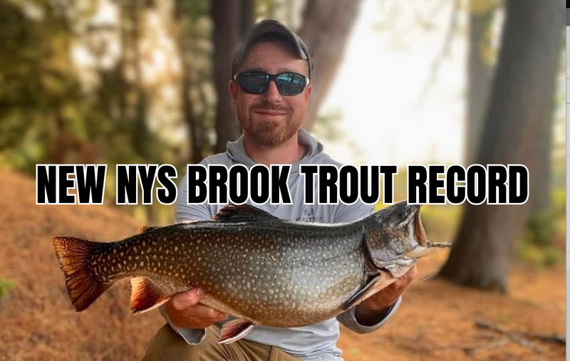 NEW NYS STATE RECORD BROOK TROUT