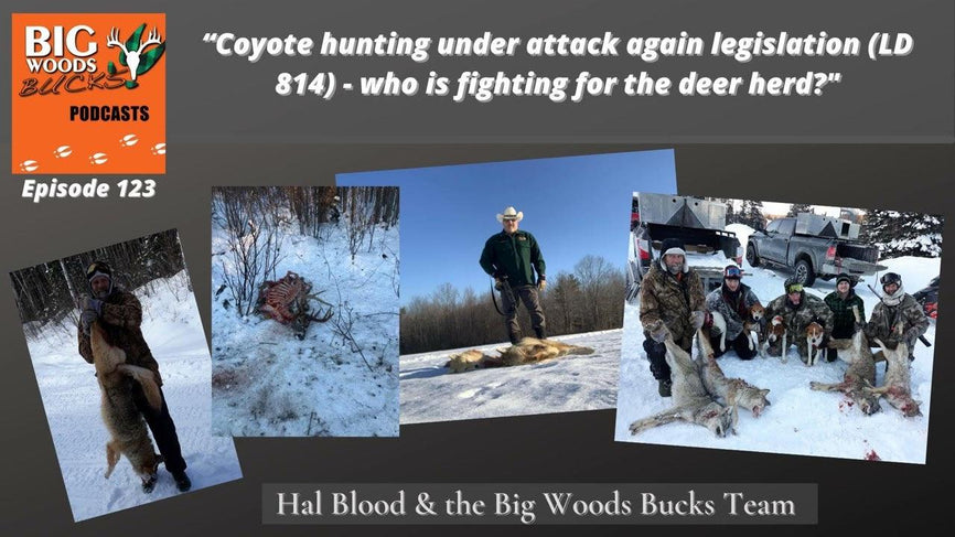 123 | “Coyote hunting under attack again legislation (LD 814) - who is fighting for the deer herd?” - Big Woods Bucks