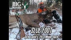 VIDEO: The SLUE BUCK | Rick Labbe's 2022 Maine buck - Big Woods Bucks