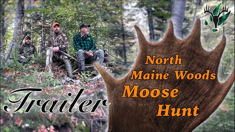 VIDEO: NICE BULL! Trailer: A North Maine Woods moose hunt with Hal Blood