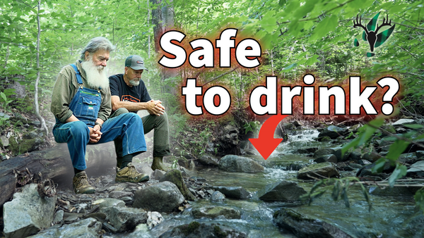VIDEO: Find Drinkable Water in the Woods