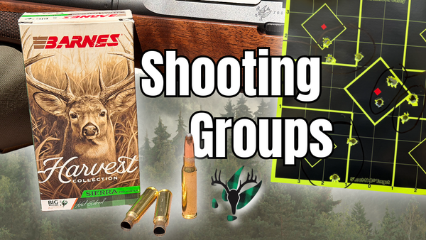 3-Shot Groups with BWB ammo in the BWB Browning AB3