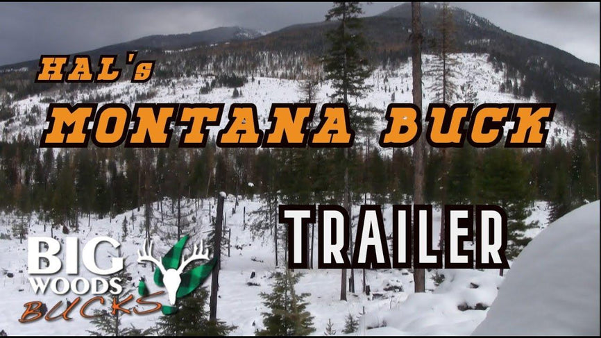 VIDEO: The Montana Buck Trailer - Big Woods Bucks