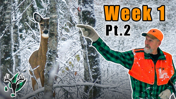 VIDEO: White Gold! Tracking Bucks on Early Season Snow with Hal Blood