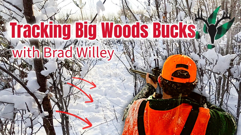 VIDEO: Tracking Big Woods Bucks with Brad Willey
