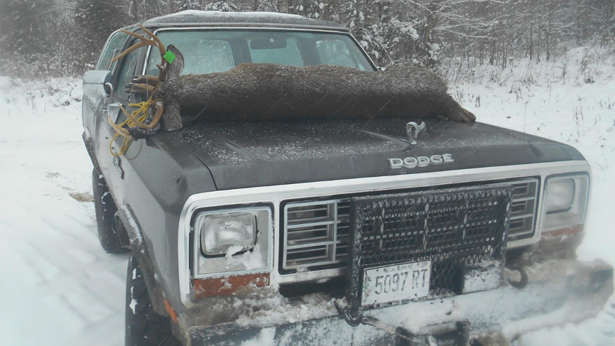 Top 3 Tips for Tracking Bucks from Hal Blood