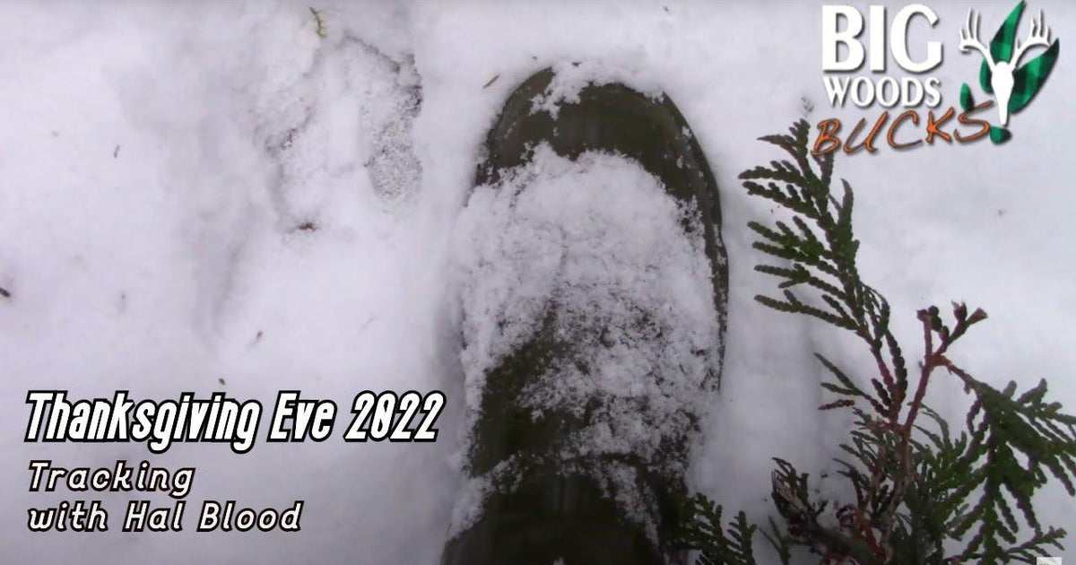 VIDEO: Tracking with Hal Blood: Day Before Thanksgiving 2022 – Big ...